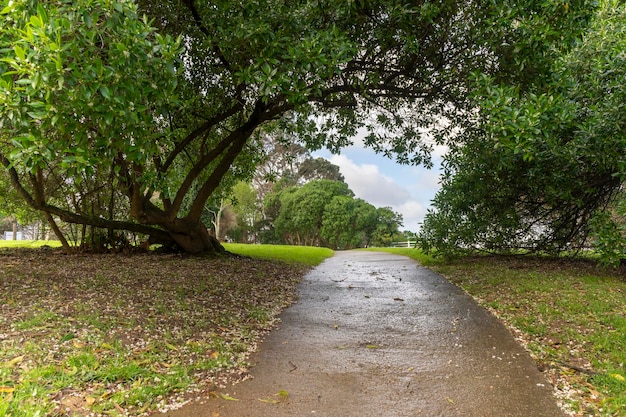 Pequeno caminho em um parque natural cercado por árvores para exercícios e corrida