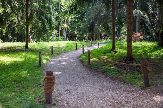 Pequeno caminho em um parque verde