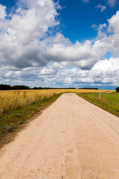 Pequeño camino rural