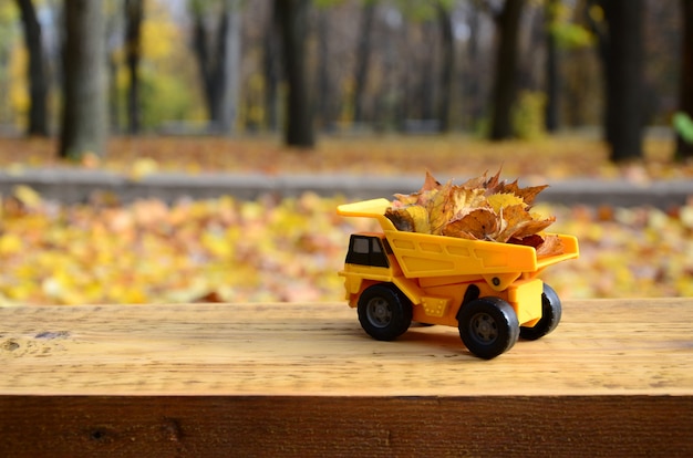 Foto un pequeño camión amarillo de juguete está cargado con obras de hojas caídas amarillas.
