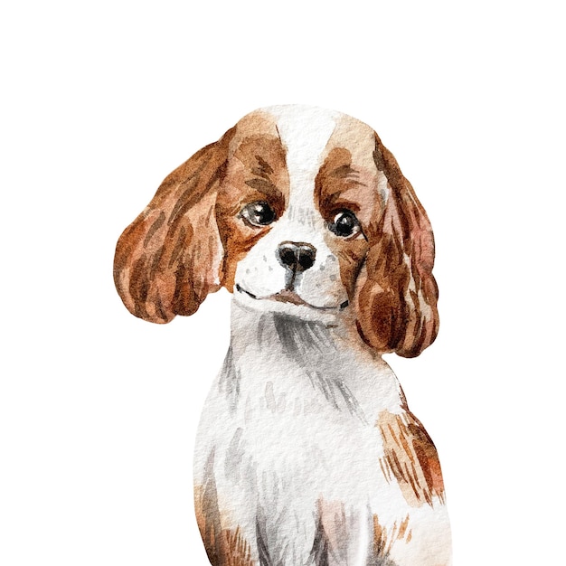 Pequeno cão desenho animado aquarela ilustração cavalier rei charles spaniel cachorrinho bonito sentado