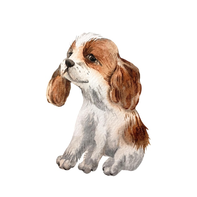Pequeno cão desenho animado aquarela ilustração cavalier rei charles spaniel cachorrinho bonito sentado