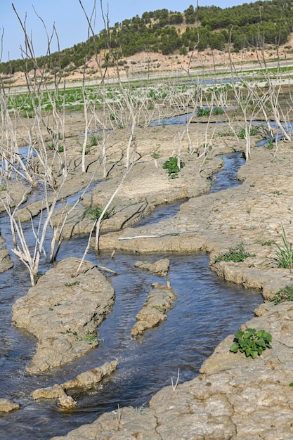 Pequeño charco de agua en un campo de tierra seca y agrietada Calentamiento global y efecto invernadero