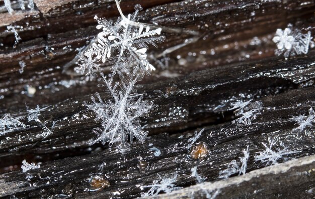 pequeño copo de nieve durante una nevada