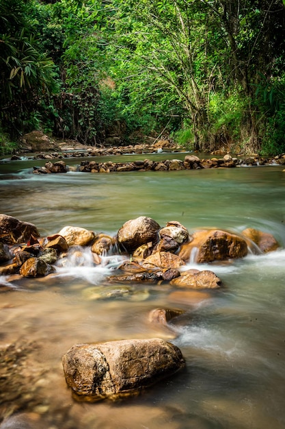 Pequeno córrego na floresta verde Yala Tailândia