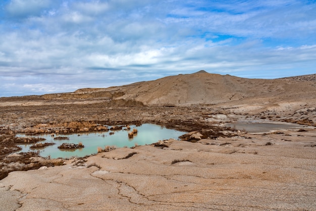 Un pequeño estanque en el desierto.