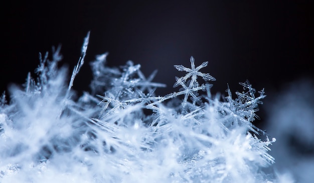 Pequeno floco de neve durante uma nevasca