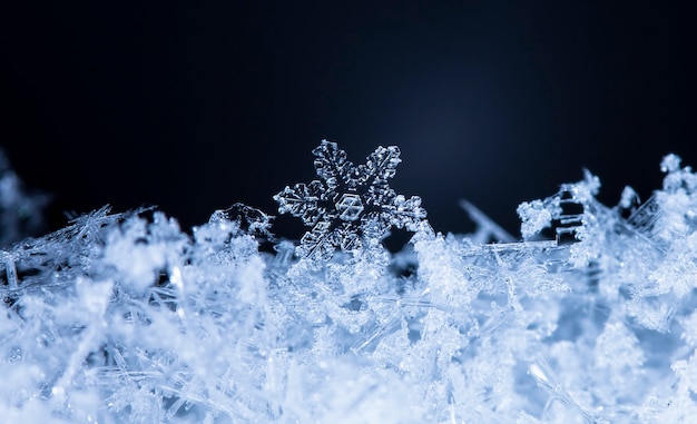 Pequeno floco de neve durante uma nevasca