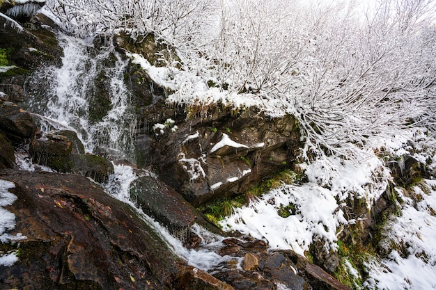 Pequeno fluxo rápido entre pequenas pedras úmidas e neve branca e fria nas pitorescas montanhas dos cárpatos na bela ucrânia e sua natureza fantástica