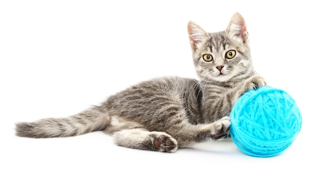 Foto pequeño gatito gracioso y ovillo de hilo. aislado en blanco