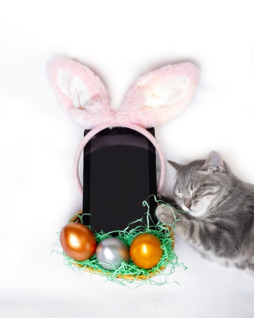 Un pequeño gatito gris acostado junto a un teléfono, una tableta con orejas de conejo rosa y una canasta con huevos de colores Venta de Pascua