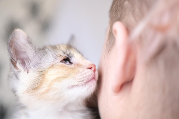 Un pequeño gatito pelirrojo multicolor con ojos ciegos mutilados cerca de la mejilla de la niña. De cerca. Un voluntario salvó a un gatito. Detener la crueldad animal