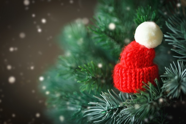 Pequeño gorro de punto en el árbol de Navidad