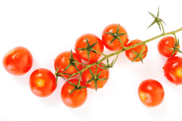 pequeno grupo de tomate vermelho fresco molhado isolado no branco
