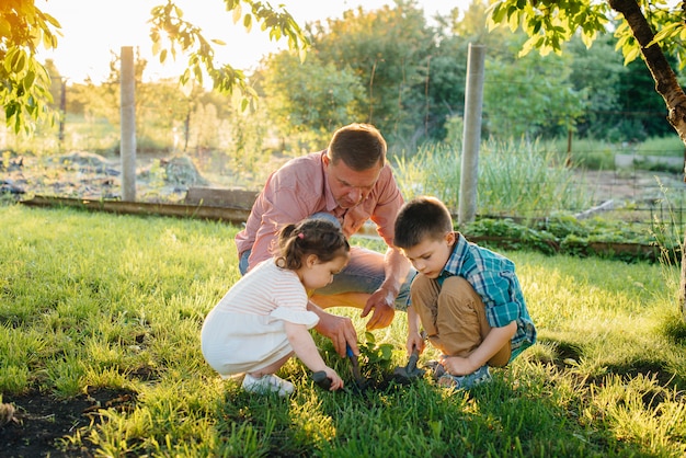 Pequeño hermano y hermana están plantando plántulas con su padre en un hermoso jardín de primavera al atardecer. Nueva vida. Salvar el medio ambiente. Actitud cuidadosa hacia el mundo circundante y la naturaleza.