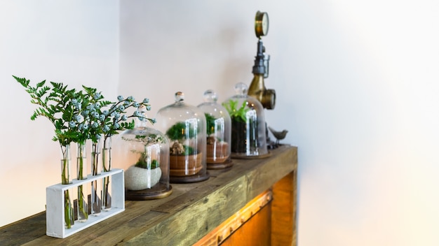 Pequeno jardim de garrafa de terrário, prateleira de madeira velha e flor em garrafas de vidro vintage