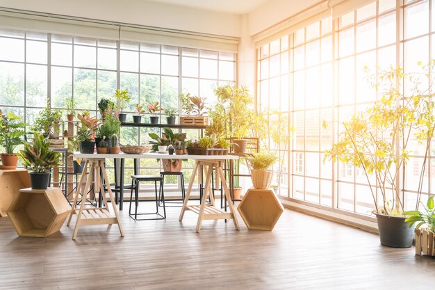 Pequeño jardín dentro de una habitación pequeña, lugar acogedor de aspecto muy relajado en la mañana con luz solar