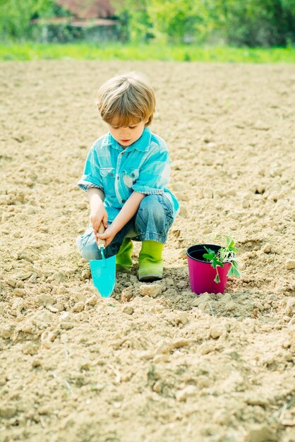 Pequeño jardinero feliz con flores de primavera Los niños felices trabajan la planta y el agua en el jardín de primavera verde