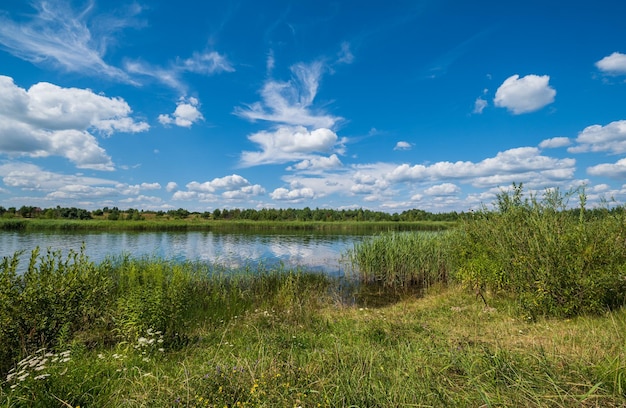 Pequeno lago agitado pitoresco dia de verão ensolarado