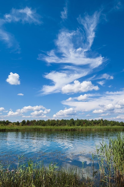 Pequeno lago agitado pitoresco Dia de verão ensolarado