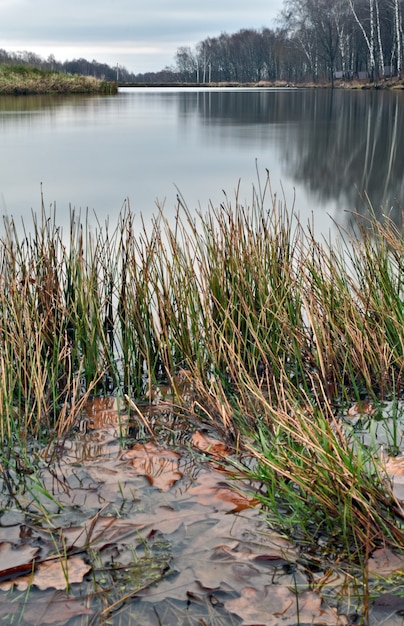 Pequeño lago del bosque en otoño