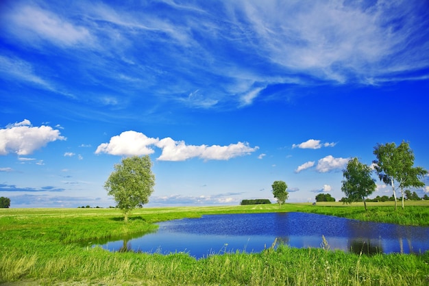 Pequeño lago en el campo