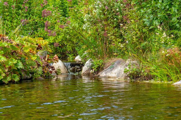 pequeño lago con cascada