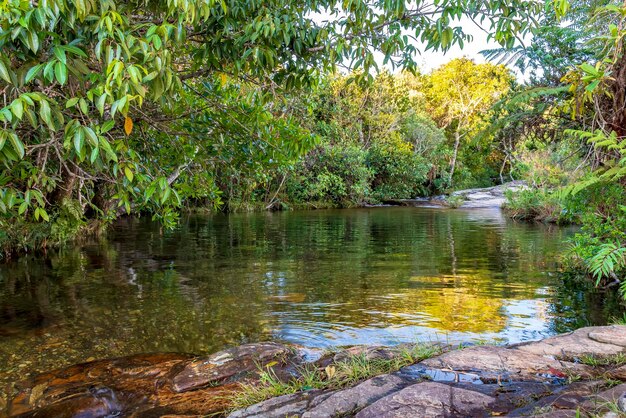 Pequeno lago com água transparente entre a vegetação da floresta tropical em Carrancas Minas Gerais, Brasil