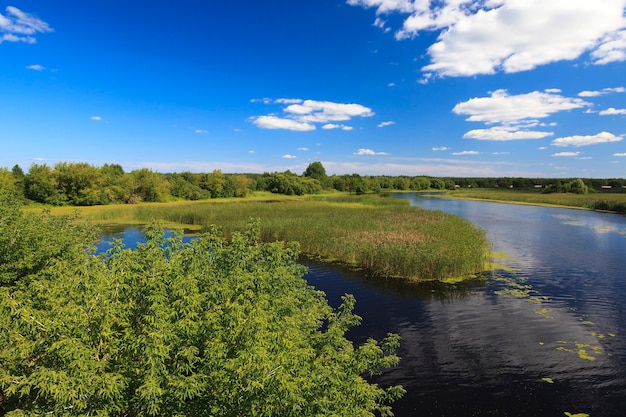 Pequeño lago un pequeño lago, fotografiado en la temporada de verano (primavera)