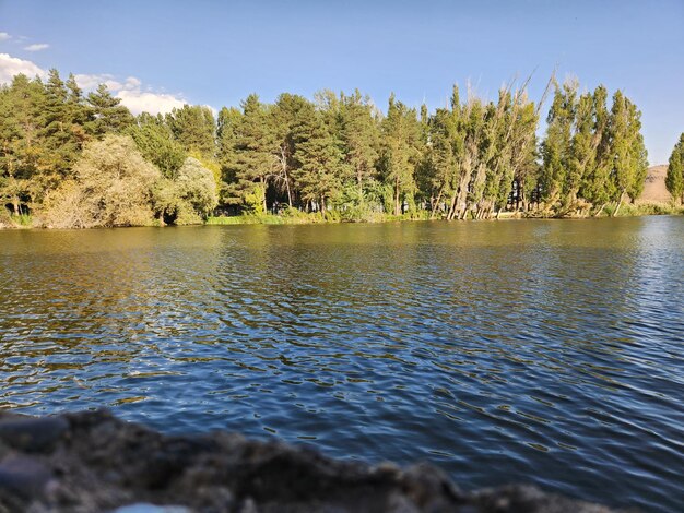 Foto el pequeño lago.