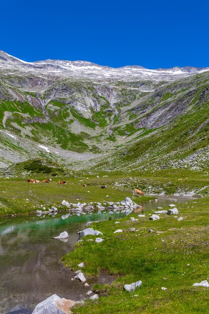 pequeño lago