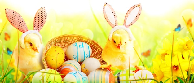 Pequeño y lindo pollito recién nacido para la celebración de Pascua