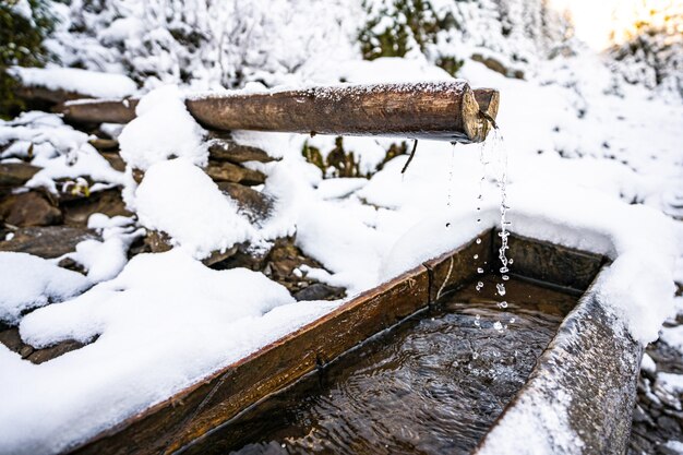 Un pequeño manantial rápido con agua limpia, fresca y transparente entre nieve intensa y bosque oscuro en las pintorescas montañas de los Cárpatos