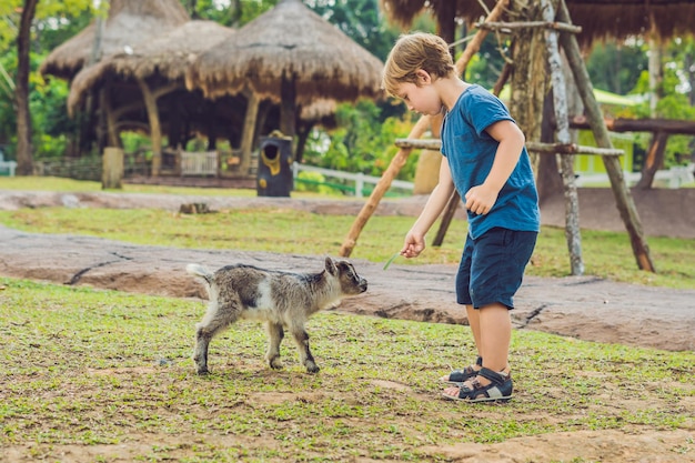 El pequeño muchacho lindo está alimentando a una pequeña cabra recién nacida