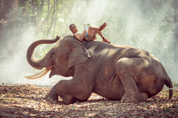 El pequeño muchacho rural tailandés estaba leyendo en elefante.