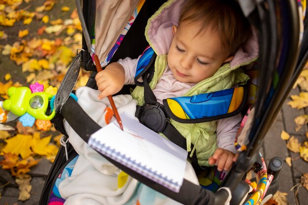 Pequeño niño lindo dibuja y se sienta en un cochecito en el parque de otoño