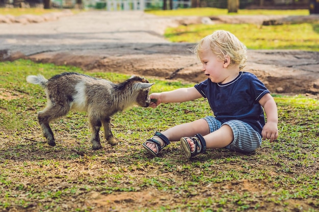 Pequeño niño lindo está alimentando a una pequeña cabra recién nacida