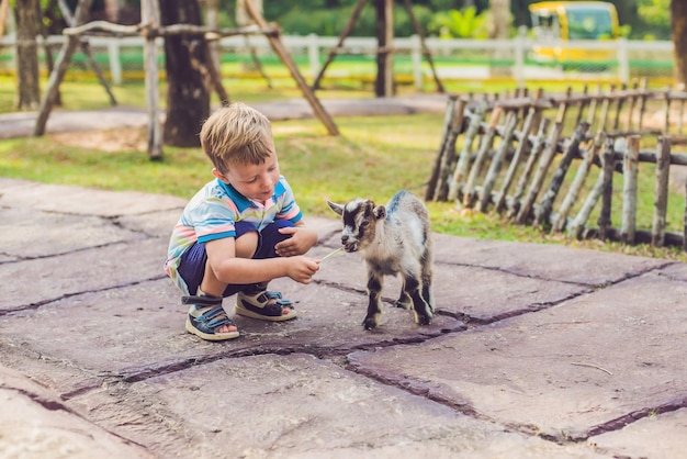 Pequeño niño lindo está alimentando a una pequeña cabra recién nacida