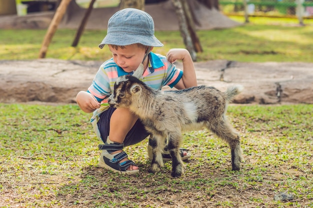 Pequeño niño lindo está alimentando a una pequeña cabra recién nacida