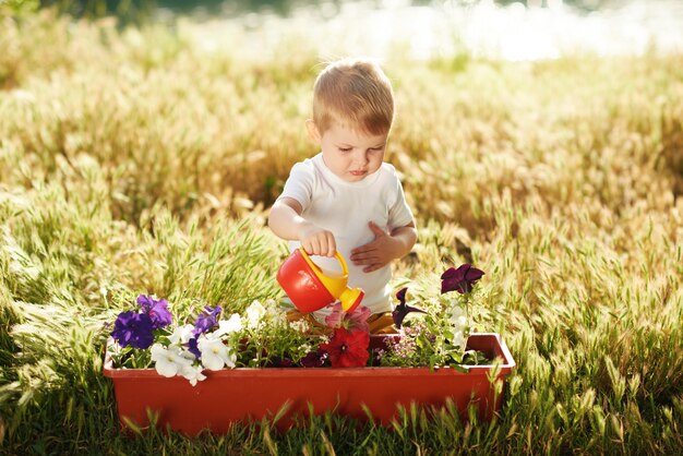 Pequeño niño lindo que riega las plántulas de flor en una maceta en el jardín en puesta del sol. Pequeño jardinero divertido. Concepto de primavera, naturaleza y cuidado.