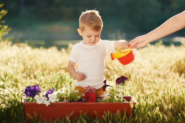 Pequeño niño lindo que riega las plántulas de flor en una maceta en el jardín en puesta del sol. Pequeño jardinero divertido. Concepto de primavera, naturaleza y cuidado.