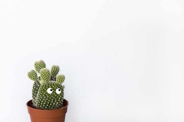 Pequeño nopal con ojos en maceta marrón en fondo blanco, espacio de copia