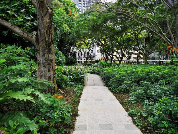 Foto el pequeño parque en chinatown singapur