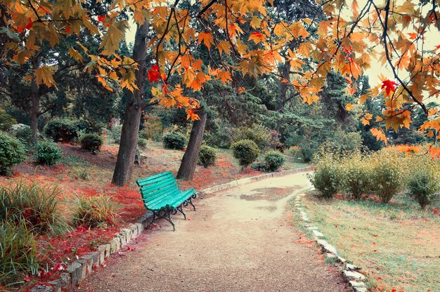 Pequeño parque en otoño en tiempo nublado