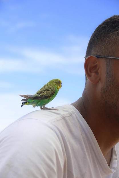 Foto pequeno pássaro de cor verde no ombro do homem