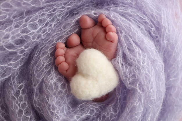 El pequeño pie de un bebé recién nacido, los pies suaves de un recién nacido en una manta de lana púrpura lila, un primer plano de los dedos de los pies, los talones y los pies de un recién nacido, un corazón blanco tejido en las piernas de un bebé, fotografía macro.