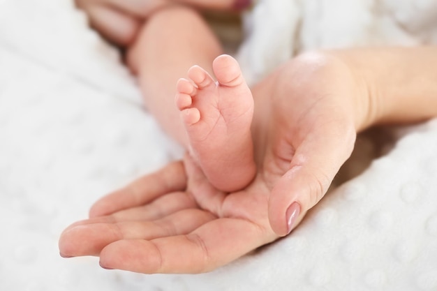 Pequeño pie recién nacido en las palmas