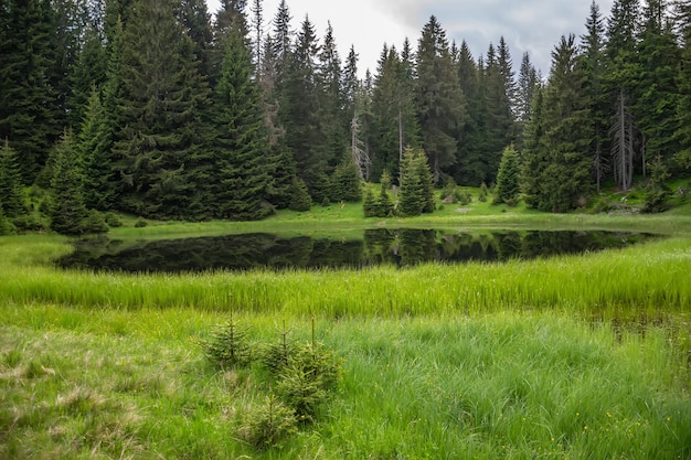 El pequeño y pintoresco lago se encuentra lejos en el bosque.