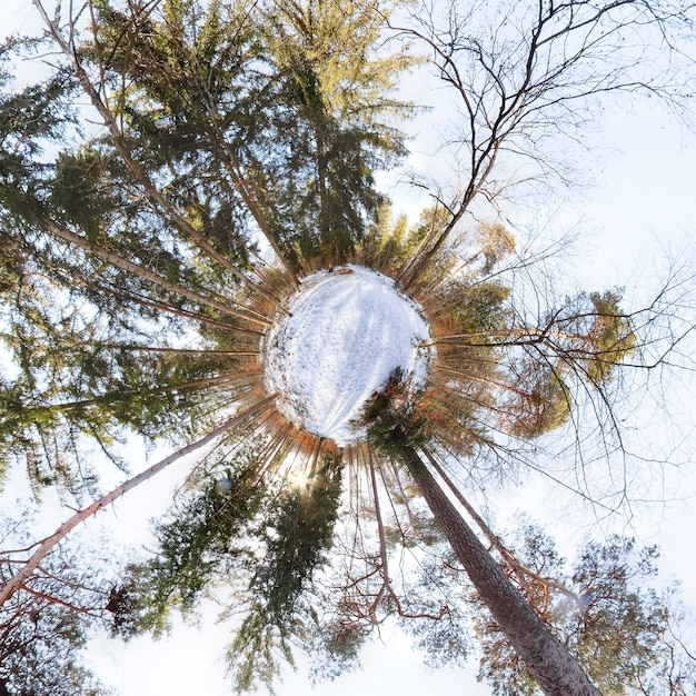 Pequeño planeta en el bosque con cielo azul