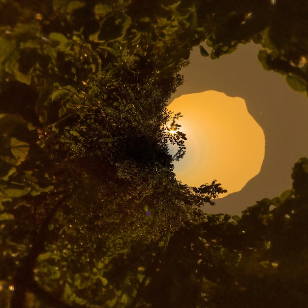 Pequeno planeta das andorinhas santuário san luis potosi, primeiro vôo ao amanhecer das andorinhas na base das andorinhas